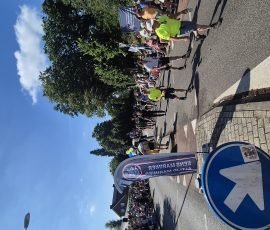 Wandelaars
